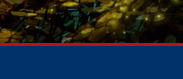 Intercasino Online Casino
